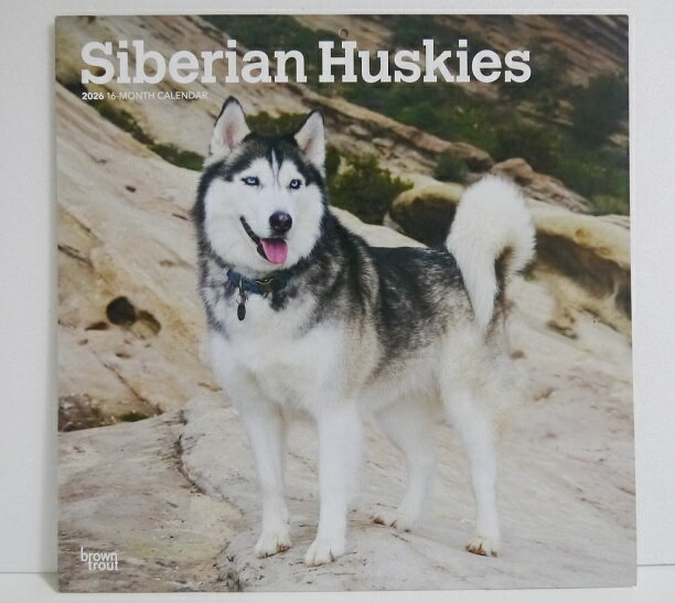 輸入2026年犬カレンダー「シベリアンハスキー」