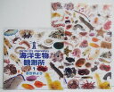『海洋生物観測所 生態写真集&クリアファイル』