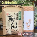 【新米予約】米 20kg【箱入 特別栽培米 魚沼産コシヒカリ 新米ギフト】新潟 魚沼 農薬を抑えた当地 農家 おいしいお米 送料込