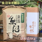 魚沼産コシヒカリ一等米白米5kg（当地生産農家のお米）3650円
