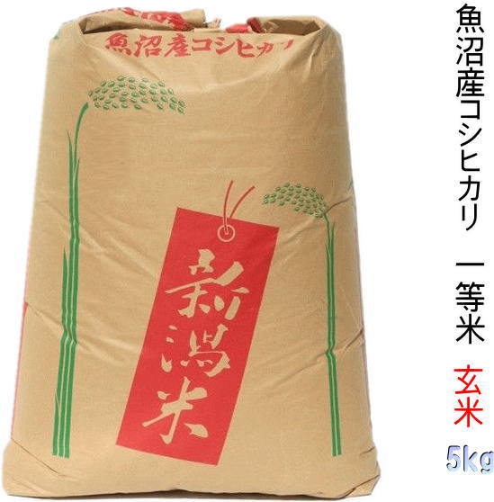 玄米 5kg 一等米 特A 2021年 魚沼産コシヒカリ（当地 生産農家の米）送料別