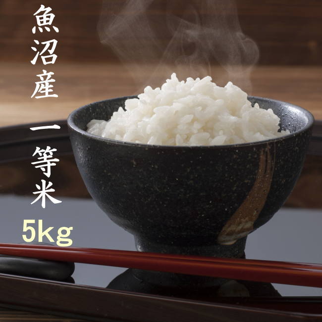 値上げ申し訳ありません 米5キロ 5kg 新潟 魚沼産コシヒカリ 令和7年 一等米 白米 5キロ 当地農家のお米 送料別