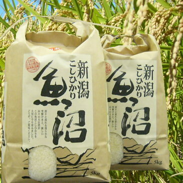 ご当地グルメ「八海山 地酒・魚沼産コシヒカリ」セット