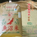 新米 令和6年 玄米 30kg 魚沼産コシヒカリ 【特別栽培米】