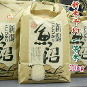 【予約】米 10kg 令和7 魚沼産コシヒカリ 新潟 魚沼 2025年 送料別