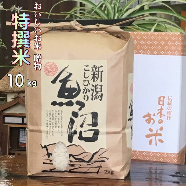 米10kg 魚沼産コシヒカ
