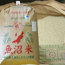 玄米 30kg 魚沼産コシヒカリ 特別栽培米 新米 6年 【新潟 魚沼】農薬を抑えた当地 農家 の おいしいお米