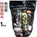 【新米予約】米 1kg 魚沼産コシヒカリ 特別栽培米 白米 当地 農家の 新米 6年産