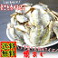 おつまみ珍味 焼きあじ メガ盛り500g あじ干物 鯵の乾き物 高級珍味 炙り 酒の肴 日本酒 ビール 焼酎 乾燥 乾物 業務用 焼きこあじ 燻製 会員ランク ポイントアップ 送料無料 送料込み 送料込 即納 ギフト プレゼント 贈り物 お祝い 熨斗対応