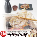 ウマヅラハギ 山形県産 500g4〜6尾×3パック 冷凍 鮮魚セット カワハギ ウマズラハギ【あす楽】