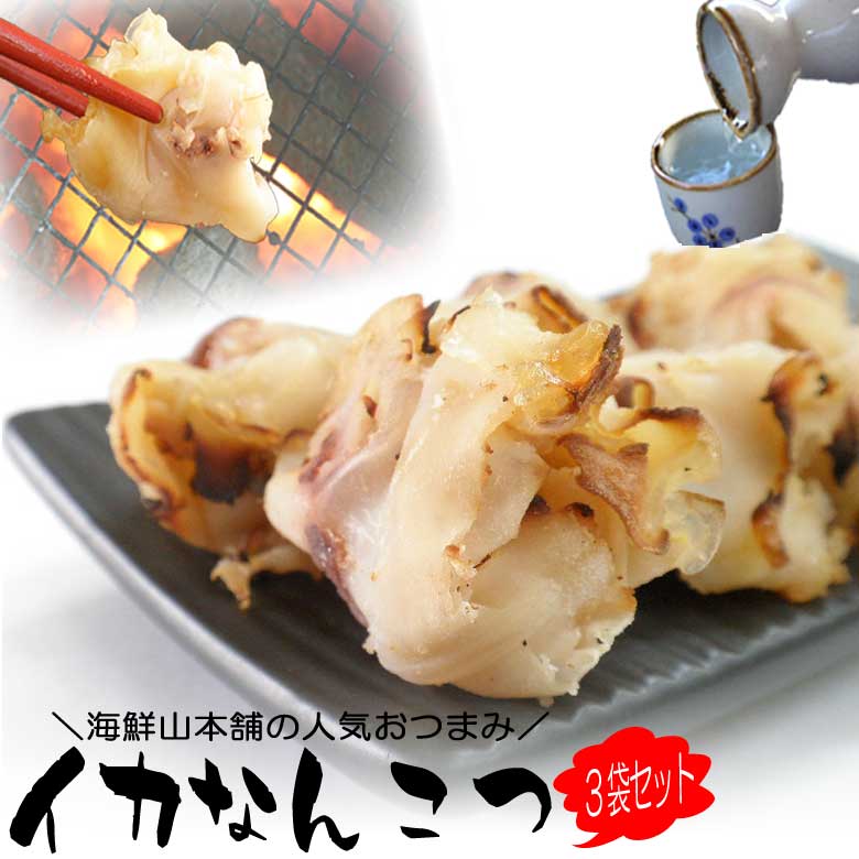 【100円OFFクーポン 27日1:59迄】 おつまみ珍味 イカ軟骨 珍味なんこつ焼き 3袋セット おつまみ珍味 国産 いか焼きツマミ 烏賊の希少部位 酒の肴 乾き物 炙り レシピ 作り方 料理 通販 干物 ビール 日本酒 焼酎 乾物 寒中見舞い ギフト プレゼント 景品