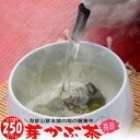 めかぶ 茶 梅味 メガ盛り サイズ乾