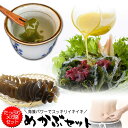 \550円OFFクーポン 使えます/ 芽かぶのフコイダン いっぱいめかぶセット梅めかぶ茶 メカブ 寒天入海藻サラダ業務用サイズみそ汁・めかぶスープ お吸い物にも...