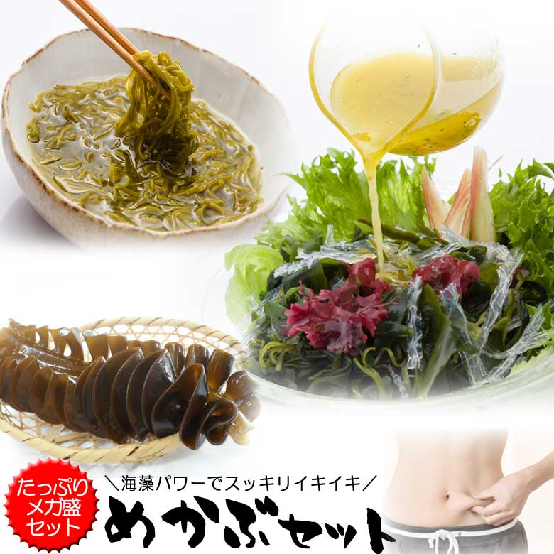 【10%OFFクーポン 配布中】 乾燥めかぶ・海藻サラダ(寒天入)メガ盛りセット みそ汁・めかぶスープ お吸い物にも 芽かぶのヌルヌルが効く 腸活 水溶性食物繊...