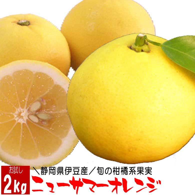 【最終10%OFFクーポン＆P5倍】 ニューサマーオレンジ(静岡県伊豆産) 2kg お試し 伊豆特産 旬の果物 無農薬栽培 フルーツ 贈り物 母の日 父の日 ギフト プレゼント 贈答用 誕生日 お返し 送料無料 送料込 通販 お取り寄せ お土産 くだもの 時期 お祝い 季節の果物