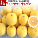 \300円OFFクーポン対象/ ニューサマーオレンジ 静岡県 伊豆産 4kg 初物 旬の 果実 柑橘類 旬の果物 フルーツ 母の日 父の日 ギフト プレゼント ...