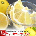 \550円OFFクーポン 使えます/ ニューサマーオレンジ 静岡県伊豆産 7kg 初物 伊豆特産 旬の果物 フルーツ プレゼント 贈り物 母の日 父の日 ギフト...