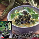\無条件/9%OFFクーポン 23日9:59迄 わさび茶漬け 45食入 個包装9パック入×5袋 お茶漬け 御茶漬け 御茶漬 ご飯のお供 わさび丼 ご飯のおとも おにぎり おかゆ焼き海苔 昆布だし 三つ葉 お返し 父の日 ギフト プレゼント 実用的 贈り物 帰省 お祝い 香典返し