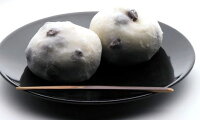 とう福本舗 塩大福20個セット(こしあん20個)【冷凍】