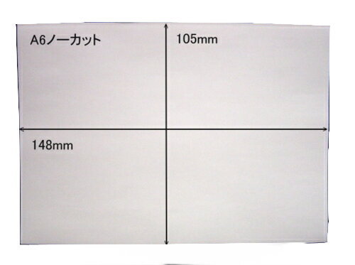 白無地 ノーカットタックシールA6×30枚