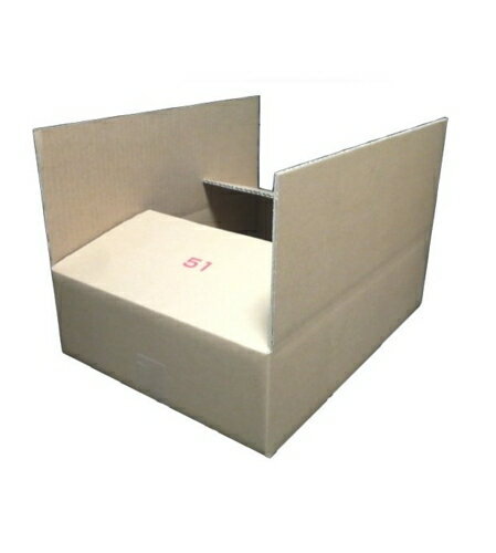 平たいシングルダンボール 宅配100サイズ シングルダンボール OF51×5枚 パック