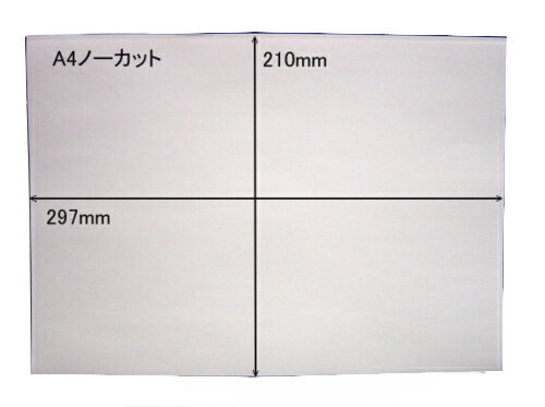 白無地 ノーカットタックシールA4×10枚