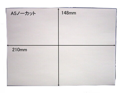 白無地 ノーカットタックシールA5×100枚