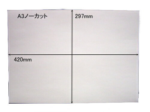 白無地 ノーカットタックシールA3×10枚