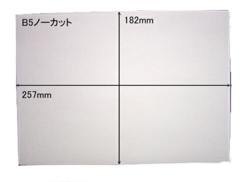 白無地 ノーカットタックシールB5×10枚