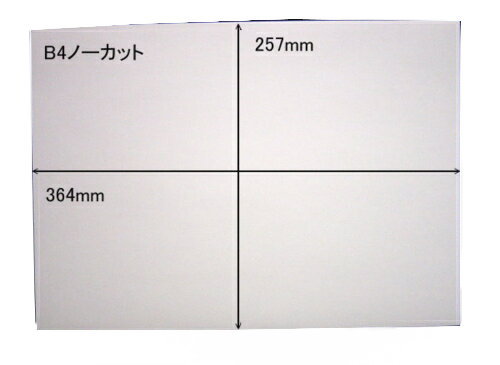 白無地 ノーカットタックシールB4×10枚