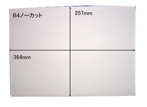 白無地 ノーカットタックシールB4×100枚