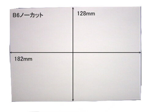 白無地 ノーカットタックシールB6×20枚