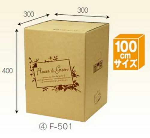 �ե�BOX F501��40�� �ѥå� ����100������ ������������̵��