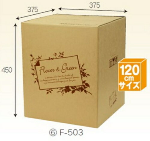 �ե�BOX F503��30�� �ѥå� ����120������ ������������̵��