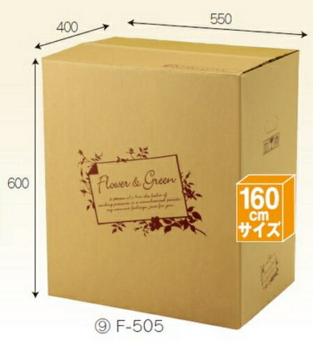 �ե�BOX F505��20�� �ѥå� ����160������ ������������̵��