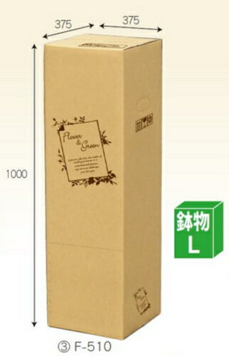 �ե�BOX F510��10�� �ѥå� ȭʪL ������������̵��
