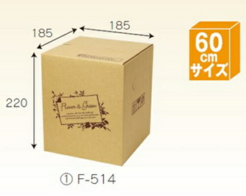 �ե�BOX F514��80�� �ѥå� ����60������ ������������̵��