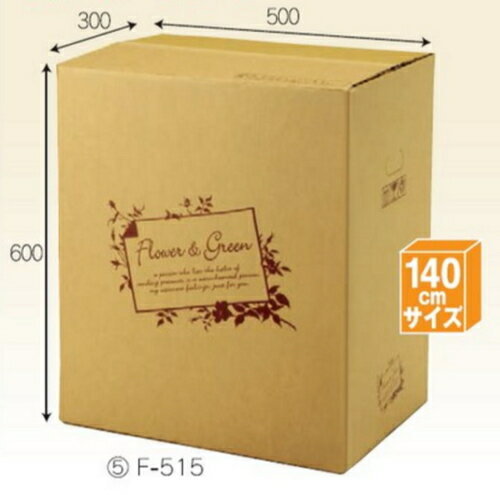 �ե�BOX F515��20�� �ѥå� ����140������ ������������̵��