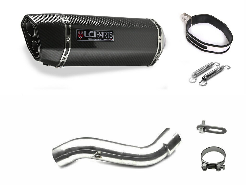 BMW R1200GS 2004-2009 LCIPARTS LCI ツインエンド カーボン スリップオン マフラー