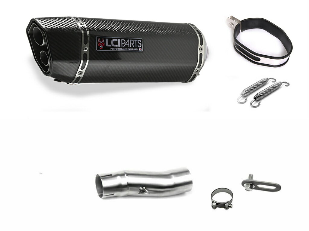BMW R850R 2002- LCIPARTS LCI ツインエンド カーボン スリップオン マフラー