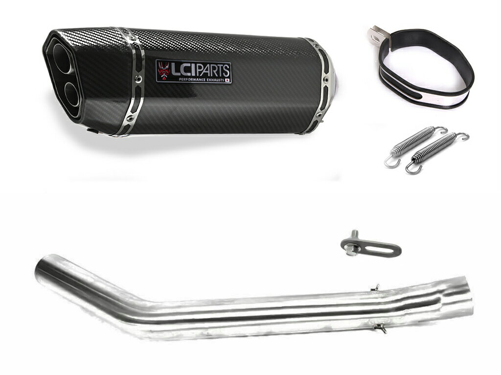カワサキ 1400GTR 2008-2016 LCIPARTS LCI ツインエンド カーボン スリップオン マフラー
