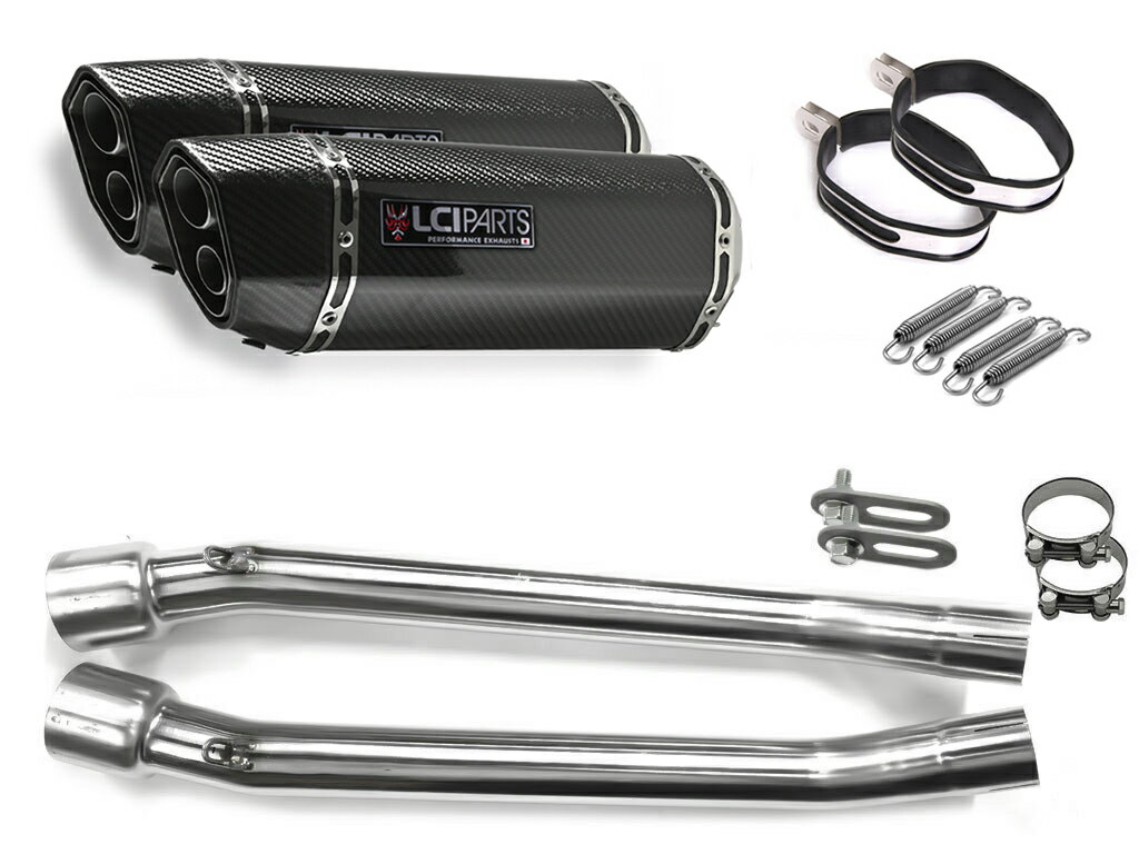 カワサキ GPX250R 1987-1990 LCIPARTS LCI ツインエンド カーボン スリップオン マフラー