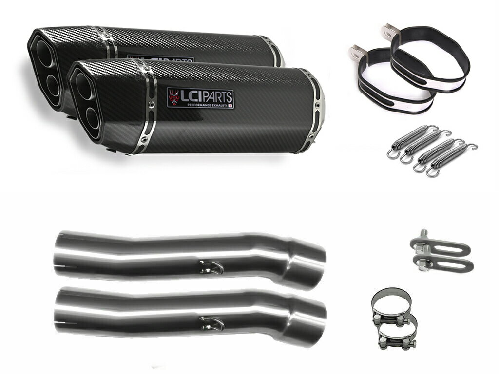 カワサキ GPZ900R 1984-2003 LCIPARTS LCI ツインエンド カーボン スリップオン マフラー