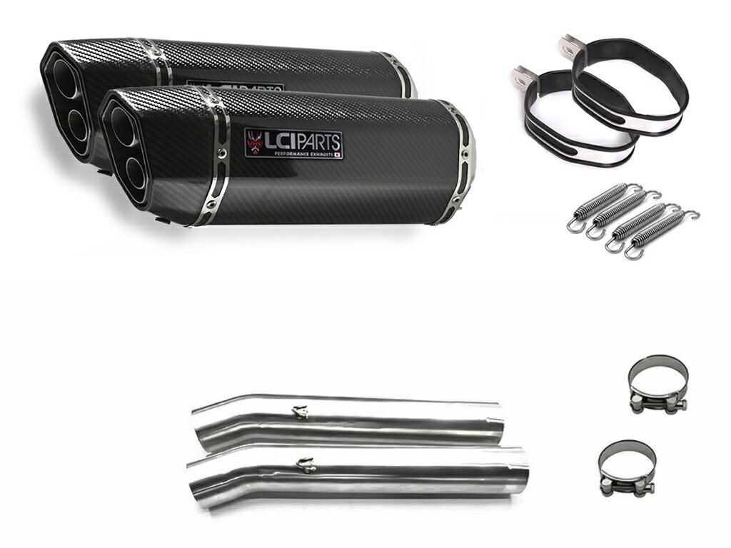 カワサキ ZZR1200 2002-2005 LCIPARTS LCI ツインエンド カーボン スリップオン マフラー