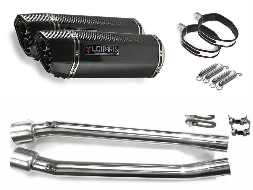 カワサキ ZZR250 1990-2007 LCIPARTS LCI ツインエンド カーボン スリップオン マフラー