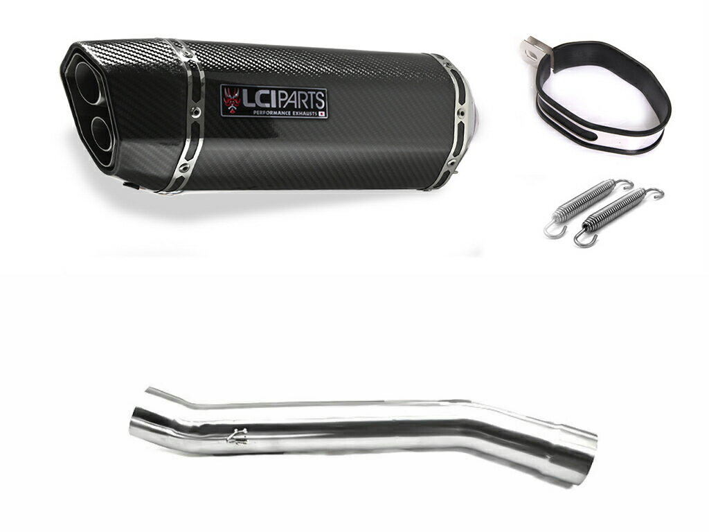 スズキ GS1200SS 2002- LCIPARTS LCI ツインエンド カーボン スリップオン マフラー