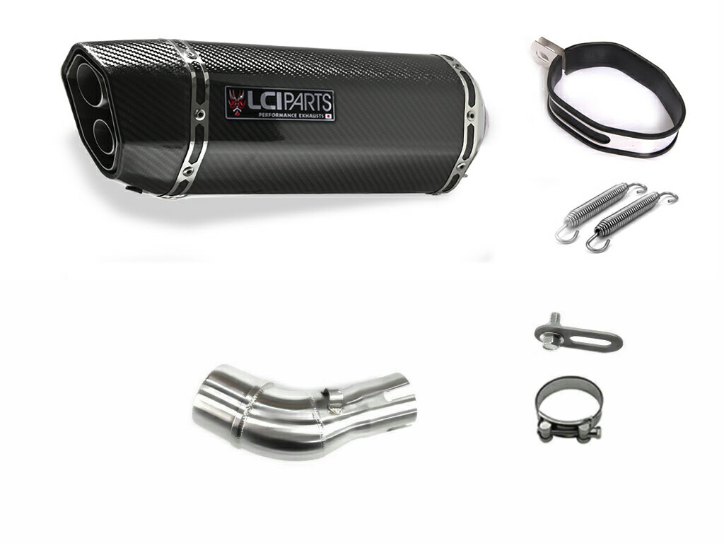 ヤマハ MT-25 MT-03 2015-2022 LCIPARTS LCI ツインエンド カーボン スリップオン マフラー