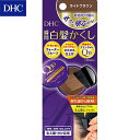 W601 DHC Q10 瞬間白髪かくし SS ライトブラウン 明るいブラウン 毛髪着色料4.5g