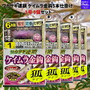 【SALE】ワカサギ仕掛け がまかつ(Gamakatsu) ワカサギ連鎖 ケイムラ金鈎 W253 1号-0.2 5個セット 6本仕掛(狐タイプ) キツネ 送料無料 ネコポス便