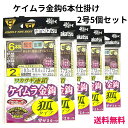 【SALE】【 予約販売】ワカサギ仕掛け がまかつ(Gamakatsu) ワカサギ連鎖 ケイムラ金鈎 W253 2号-0.3 5個セット 6本仕掛(狐タイプ) キツネ 送料無料 ネコポス便